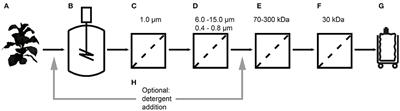 A Combined Ultrafiltration/Diafiltration Step Facilitates the Purification of Cyanovirin-N From Transgenic Tobacco Extracts